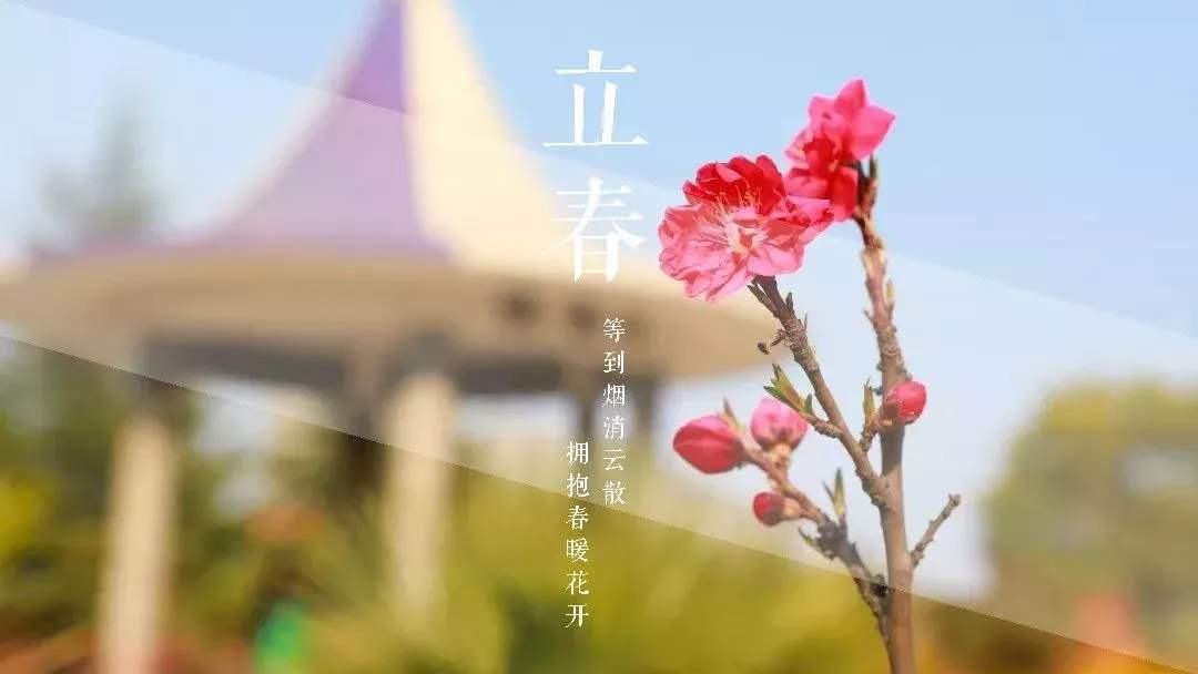 1582685529495157.jpg 齊普生新年致辭.jpg